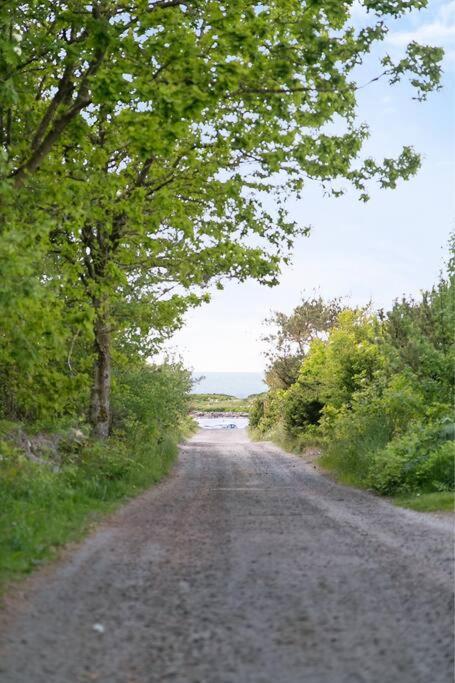 Cozy Cottage By The Sea South Of Varberg Traslovslage 外观 照片